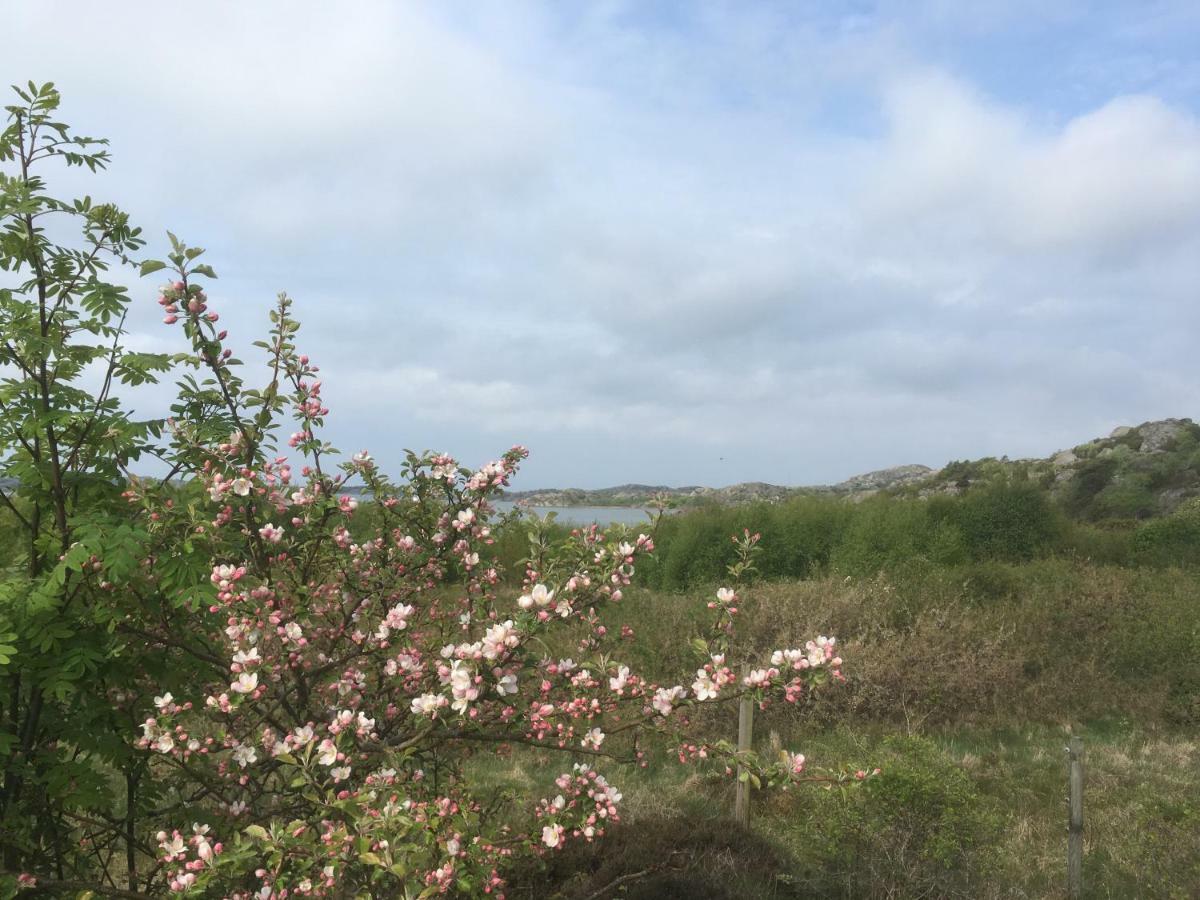 Stuga I Naturskoent Omrade Pa Vaestra Tjoern Saby Exterior foto